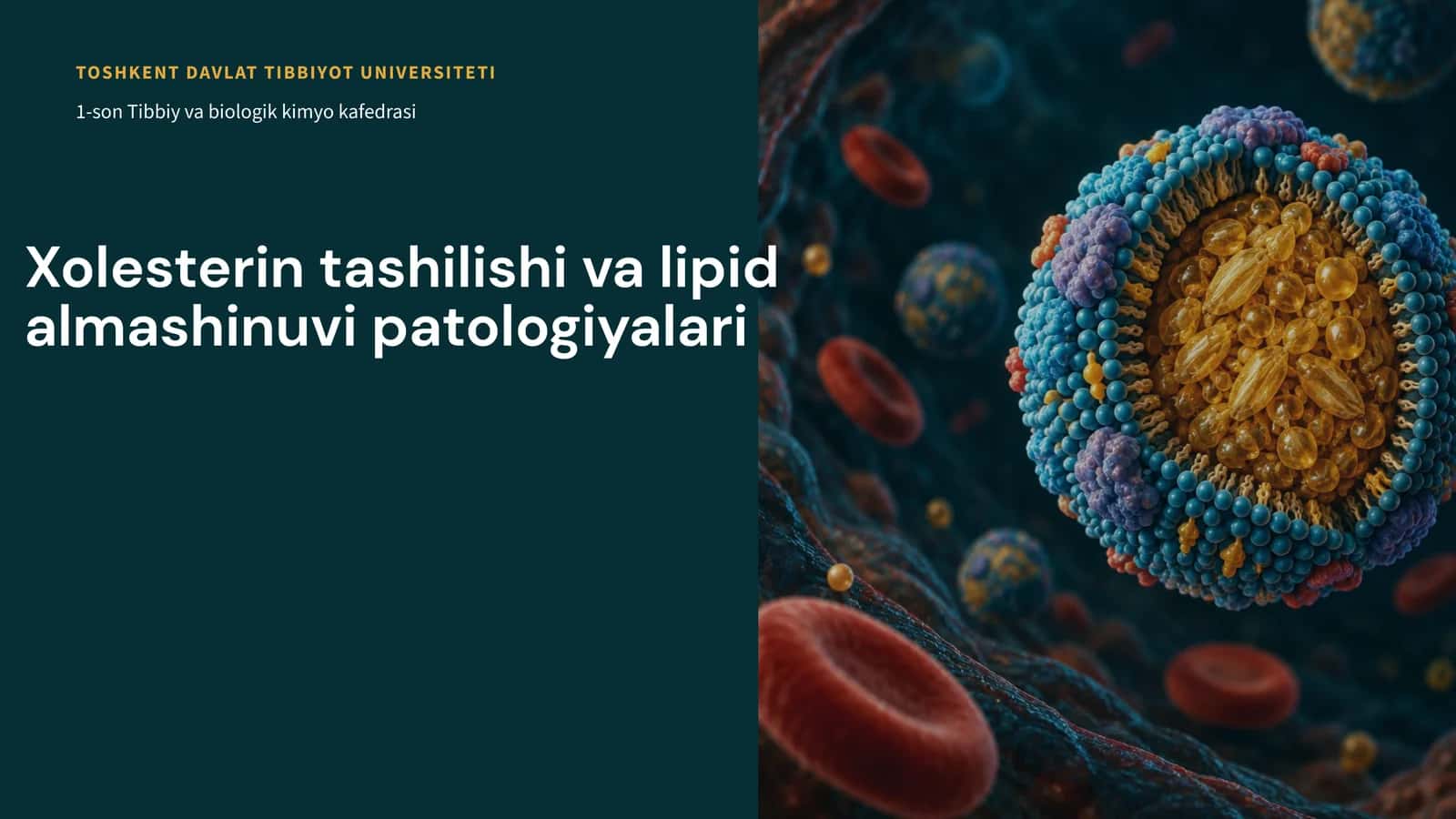 Xolesterintashilishivalipidalmashinuvipatologiyalari