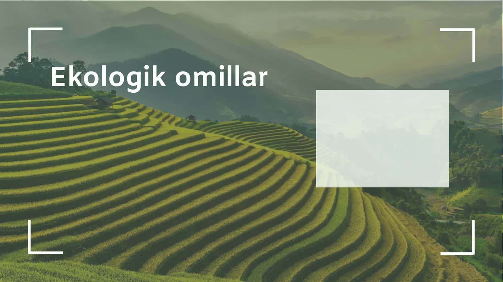 Ekologik omillar