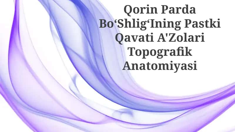 Qorin Parda BoʻShligʻIning Pastki Qavati A'Zolari Topografik Anatomiyasi