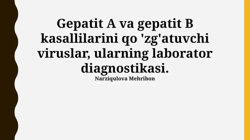 Gepatit A va B viruslari: Etiologiya, Epidemiologiya va Klinik ko'rinishlar