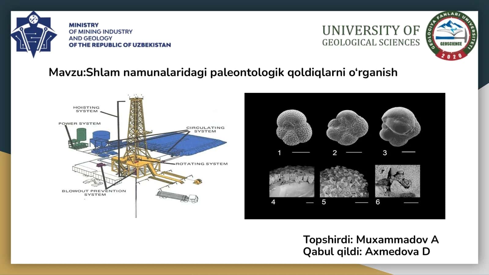 Mavzu:Shlam namunalaridagi paleontologik qoldiqlarni o‘rganish