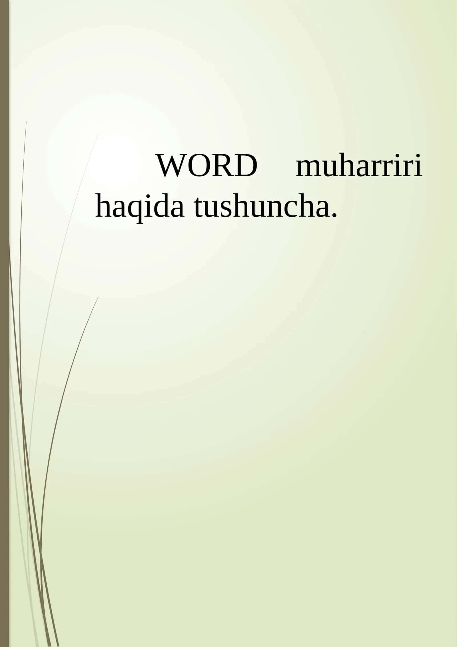 Microsoft Word