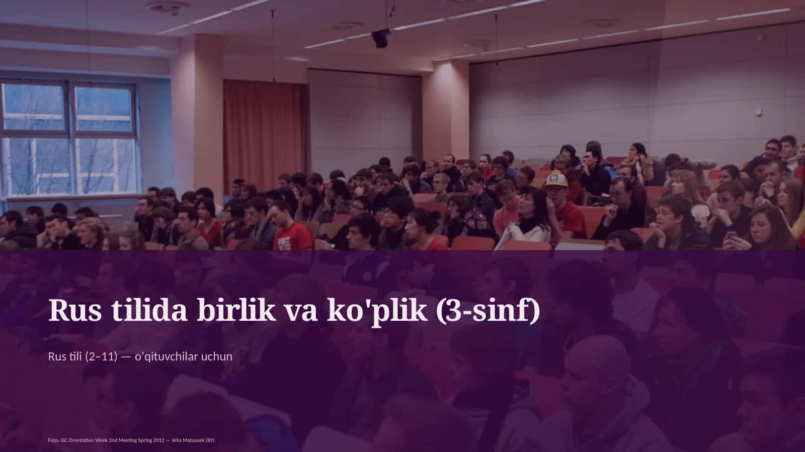 Rus tilida birlik va ko'plik (3-sinf)