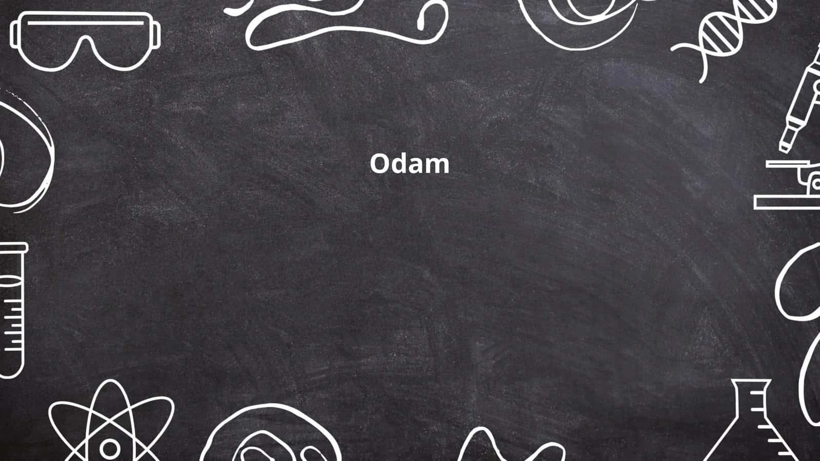 Odam anatomiyasi