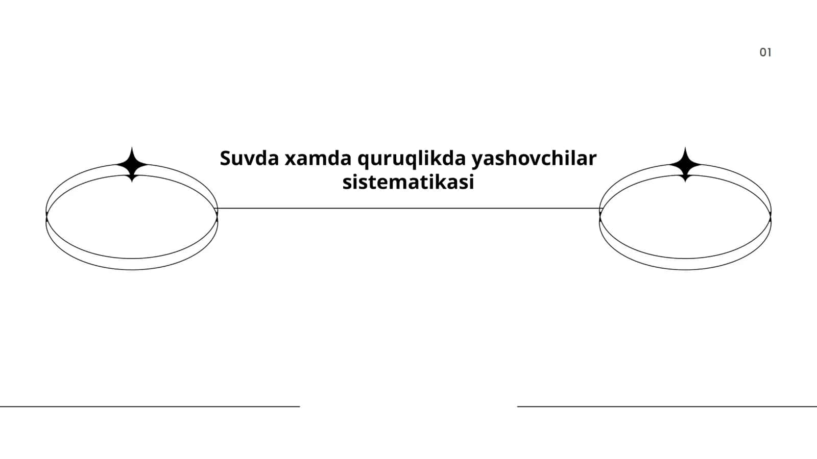 Suvda xamda quruqlikda yashovchilar sistematikasi