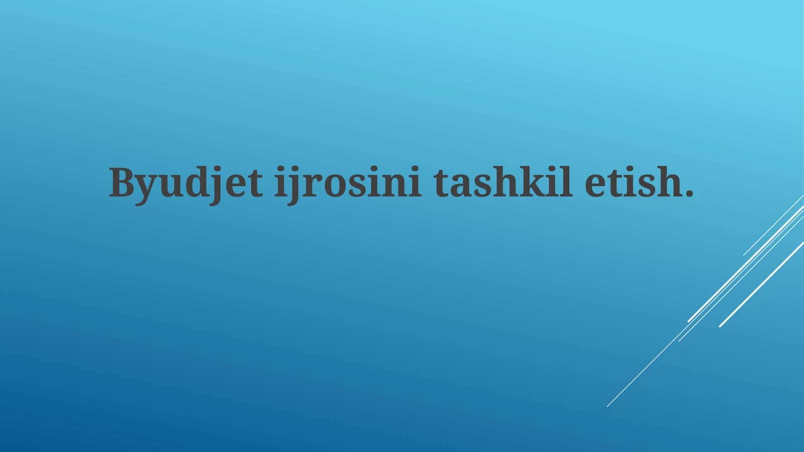 Byudjet ijrosini tashkil etish