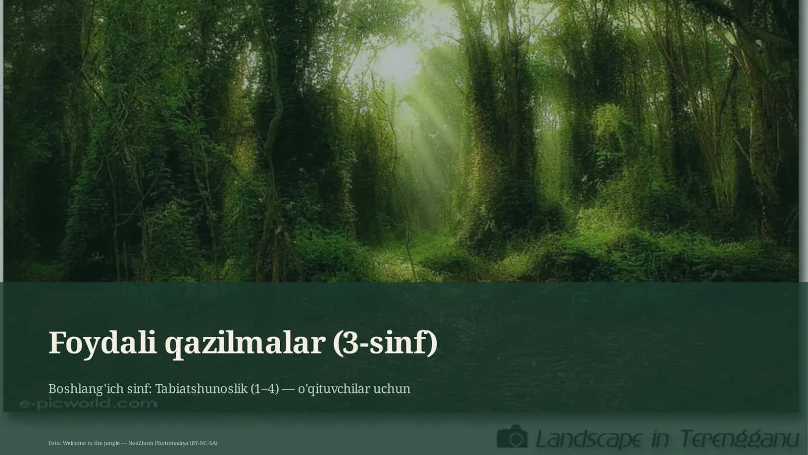 Foydali qazilmalar (3-sinf)