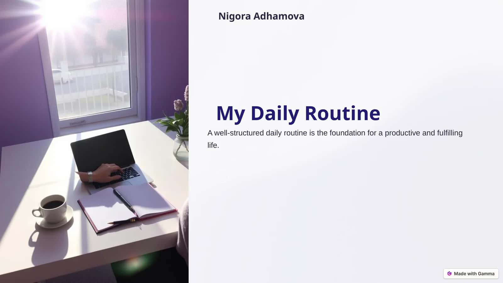 My Daily Routine