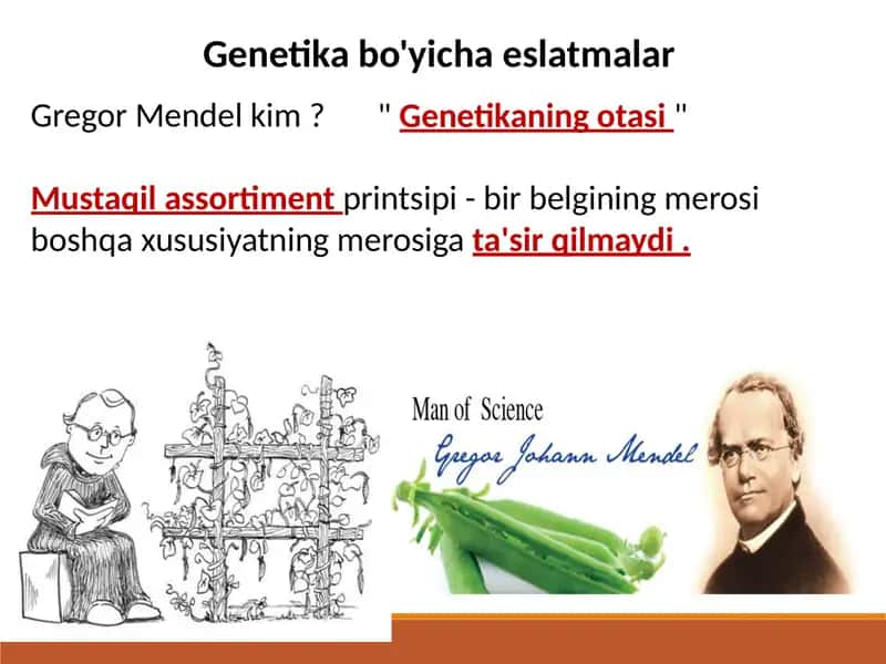 Genetika bo'yicha eslatmalar