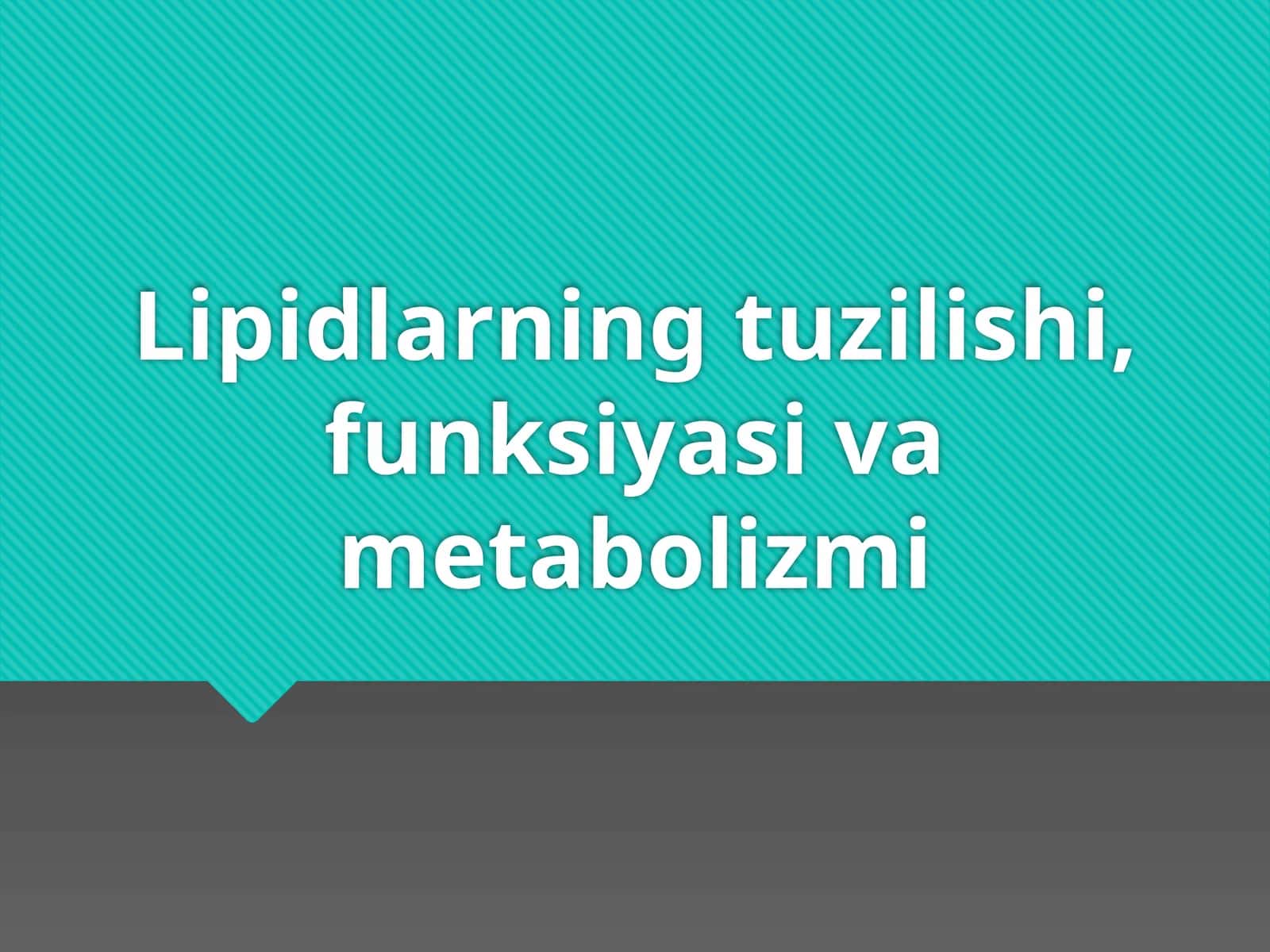 Lipidlarning tuzilishi, funksiyasi va metabolizmi