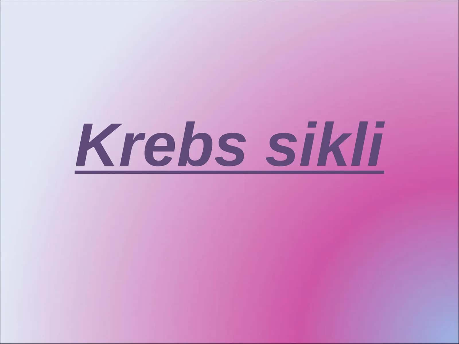Krebs sikli