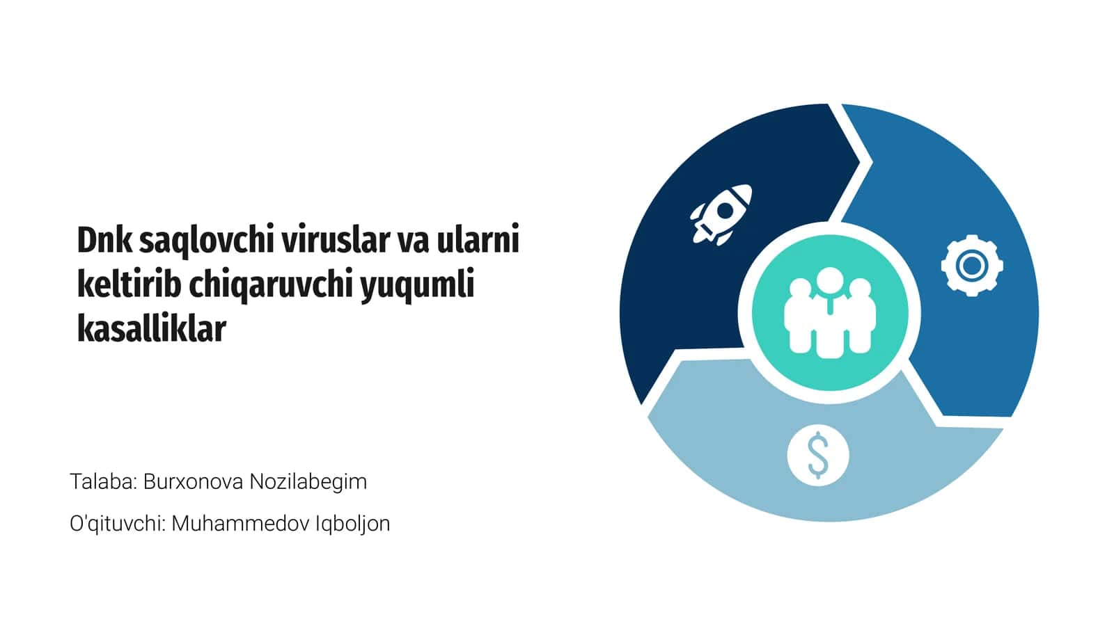DNK saqlovchi viruslar va ularni keltirib chiqaruvchi yuqumli kasalliklar