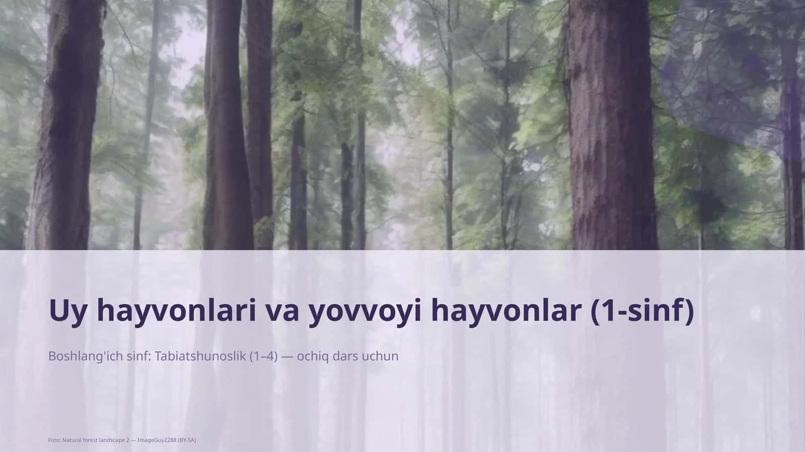 Uy hayvonlari va yovvoyi hayvonlar (1-sinf)