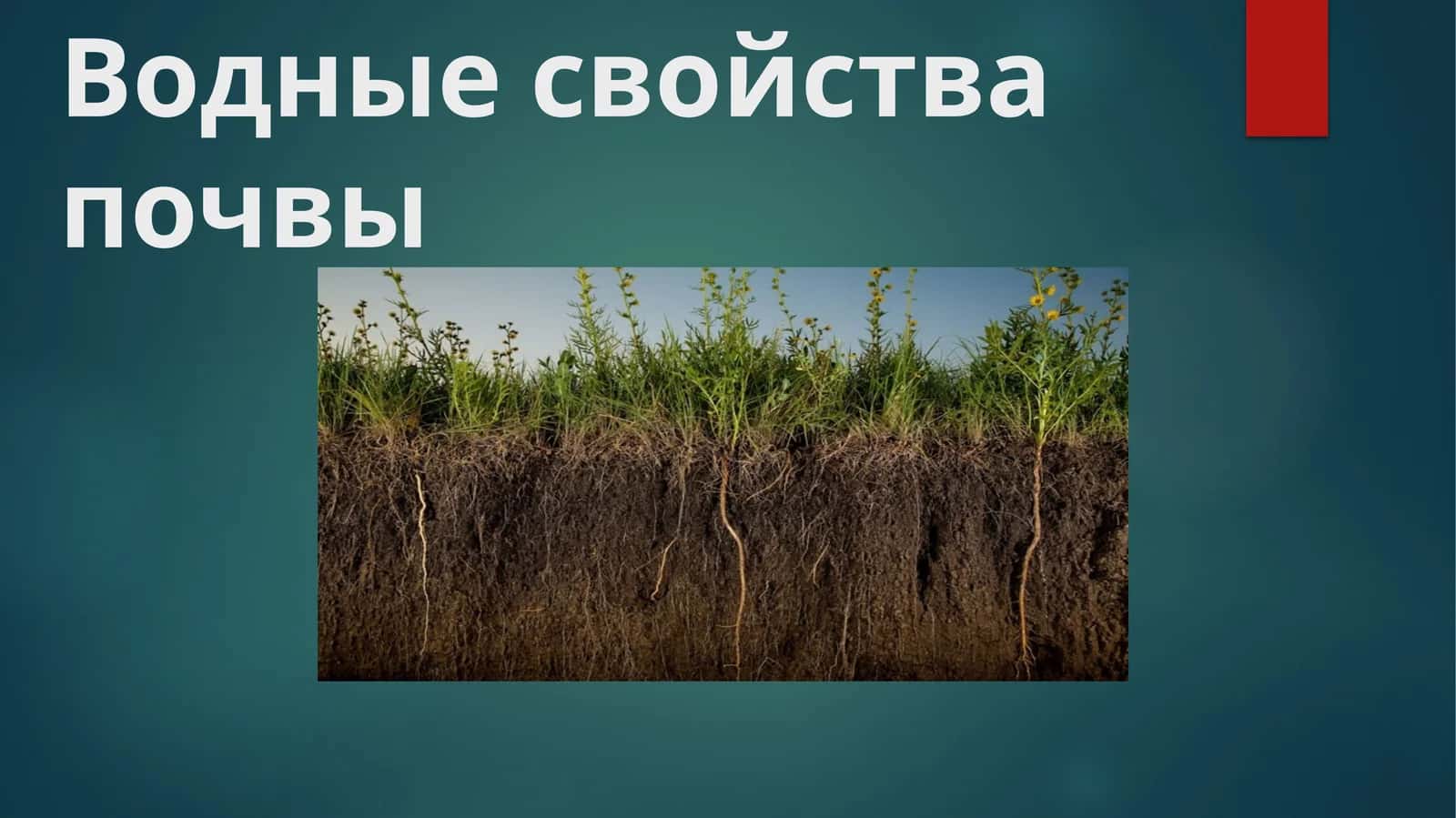 Водные свойства почвы