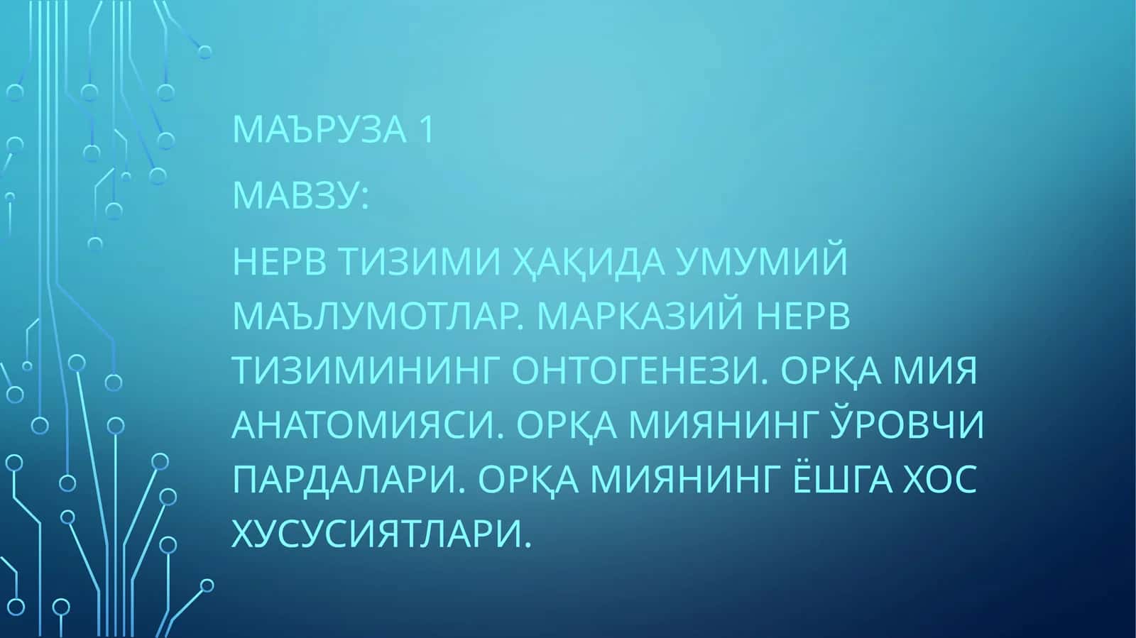 Нервтизимиҳақида умумий маълумотлар