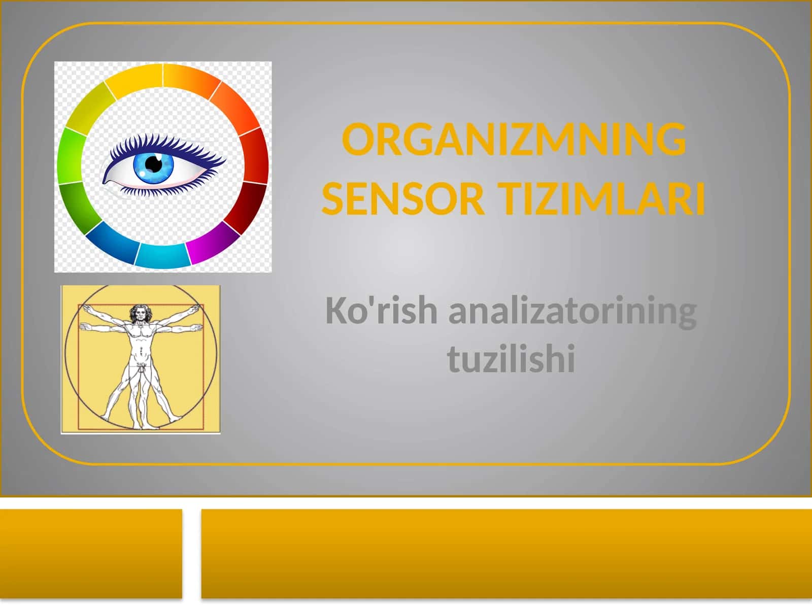 Ko'rish analizatori tuzilishi