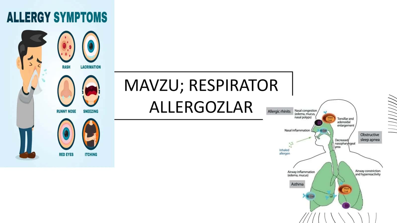 RESPIRATOR ALLERGOZLAR