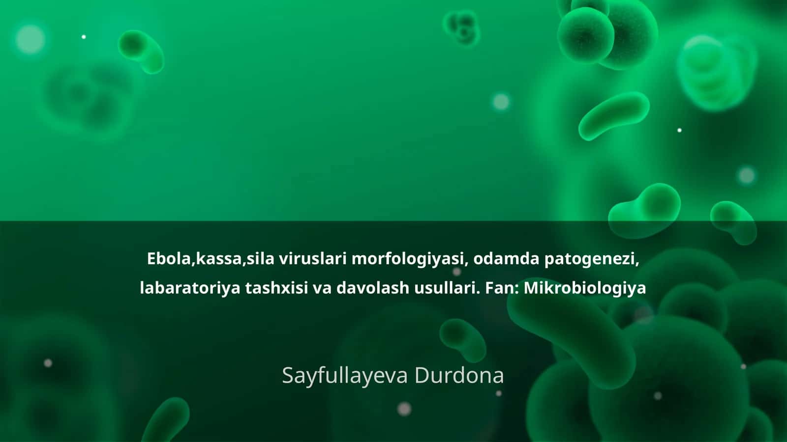 Ebola, Kassa, Sila viruslarining morfologiyasi va odamda patogenezi