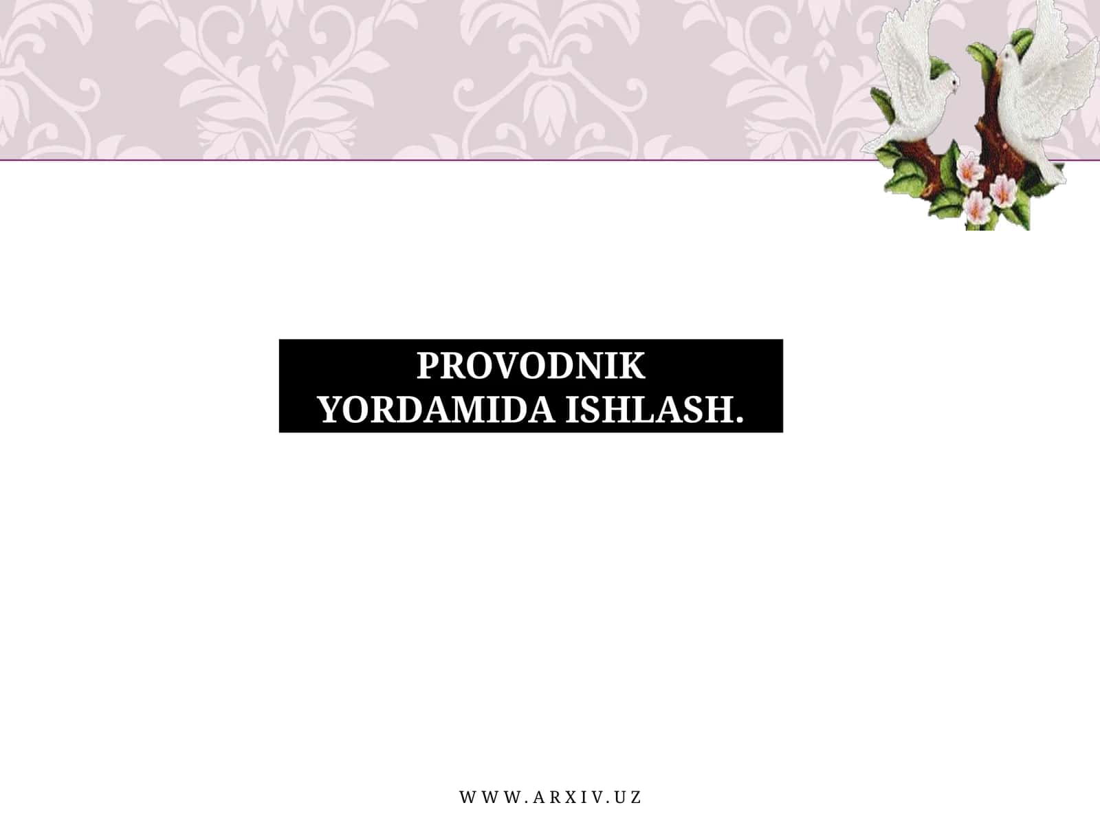 Provodnik Yordamida Ishlash