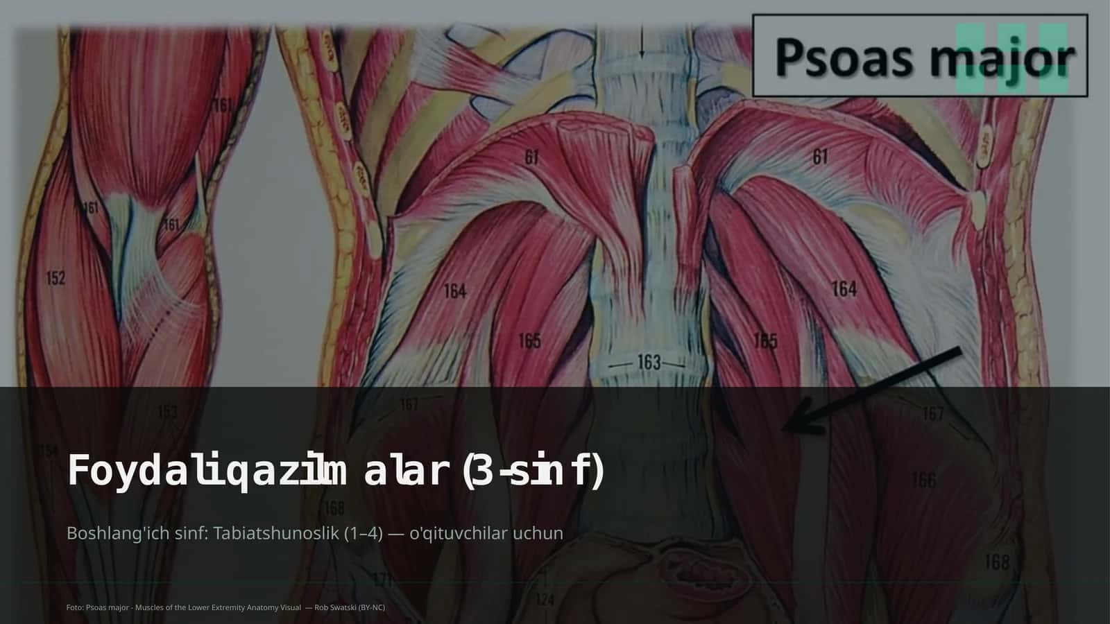 Foydali qazilmalar (3-sinf)