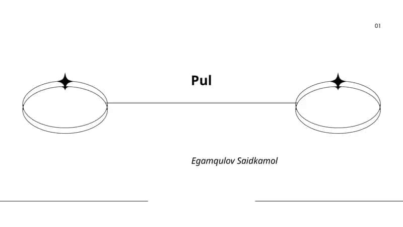 Pulning ta'rifi va funksiyalari