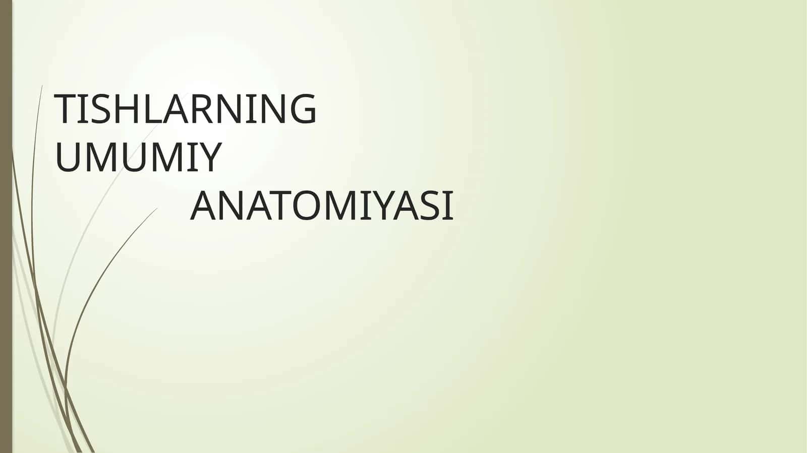 TISHLARNING UMUMIY ANATOMIYASI