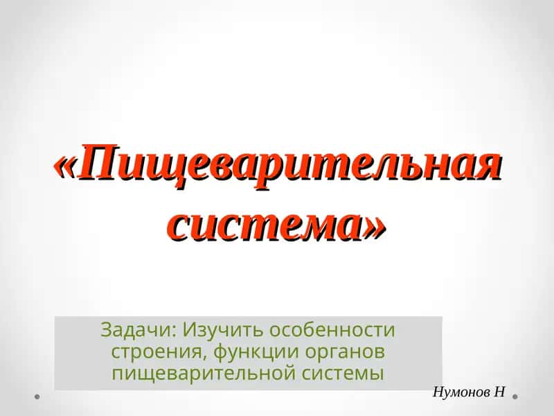 Пищеварительная система