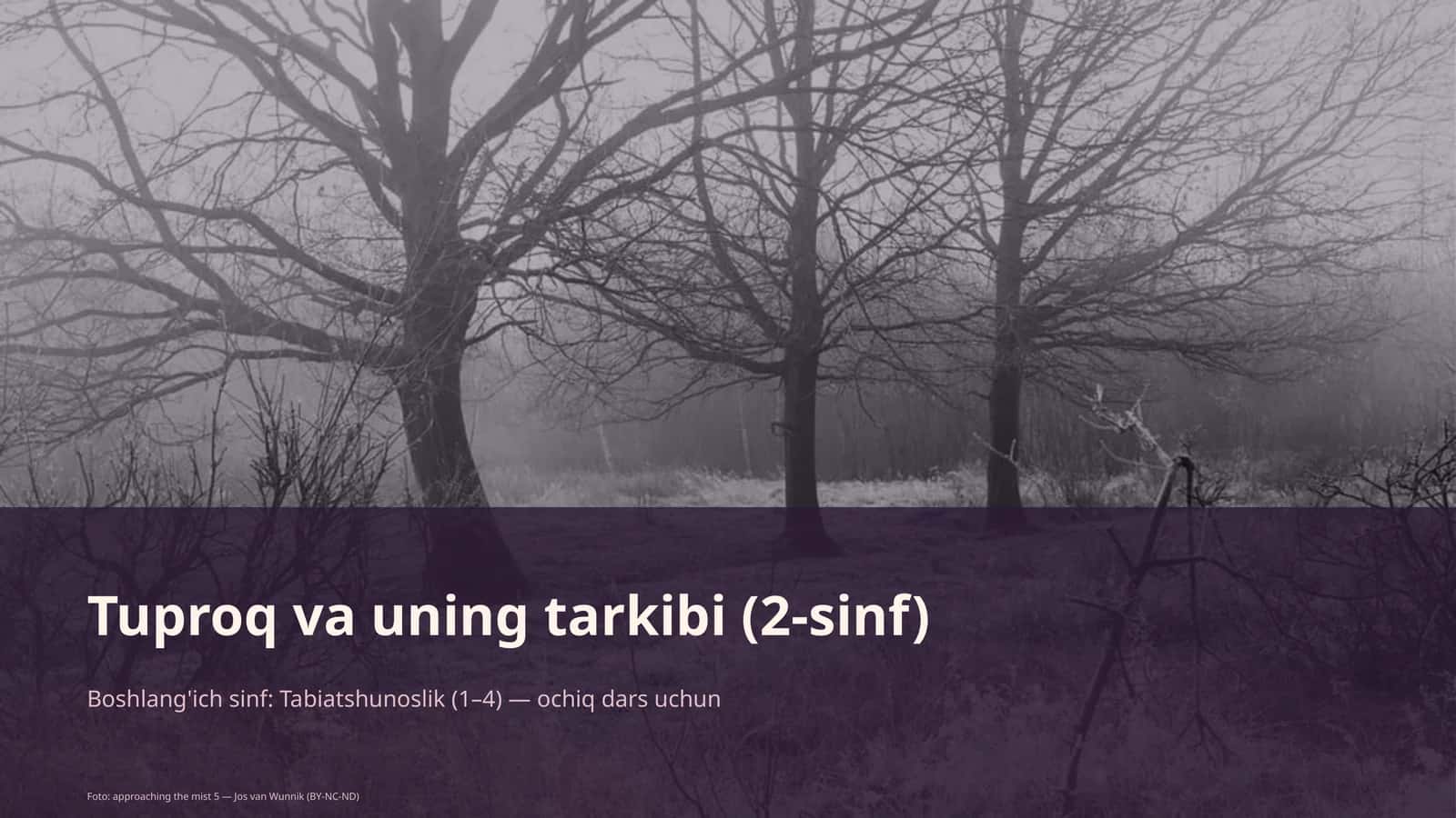 Tuproq va uning tarkibi (2-sinf)