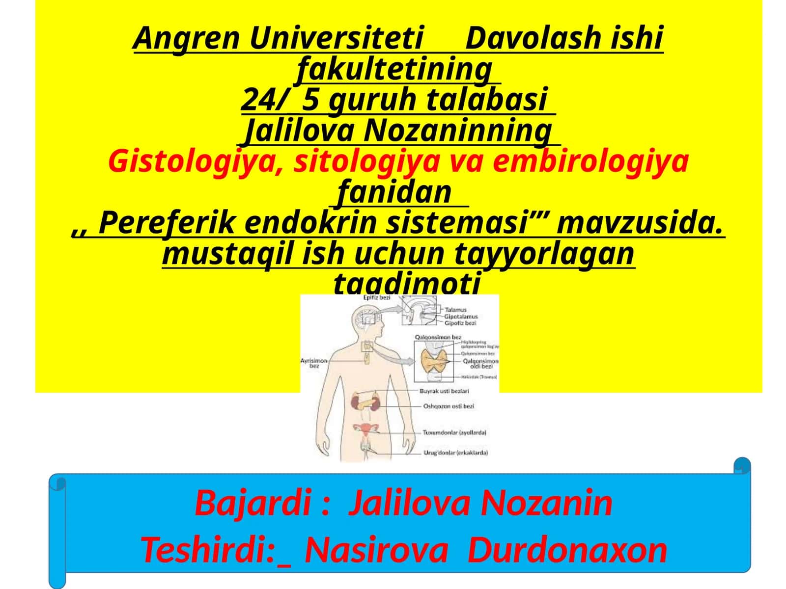 Pereferik endokrin sistemasi