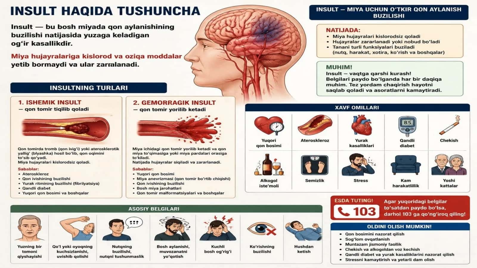 insult haqida tushuncha