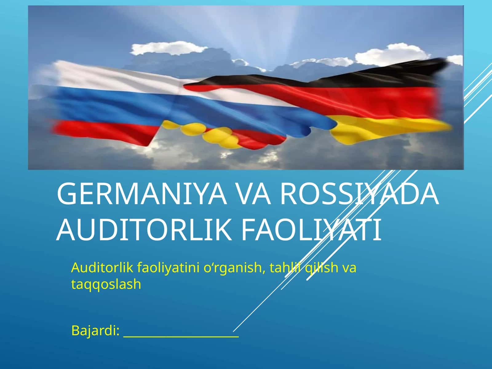 Auditorlik faoliyati