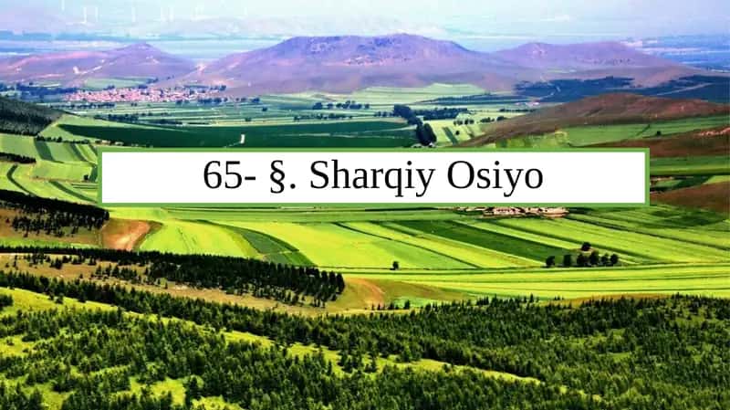 Sharqiy Osiyo Geografiyasi