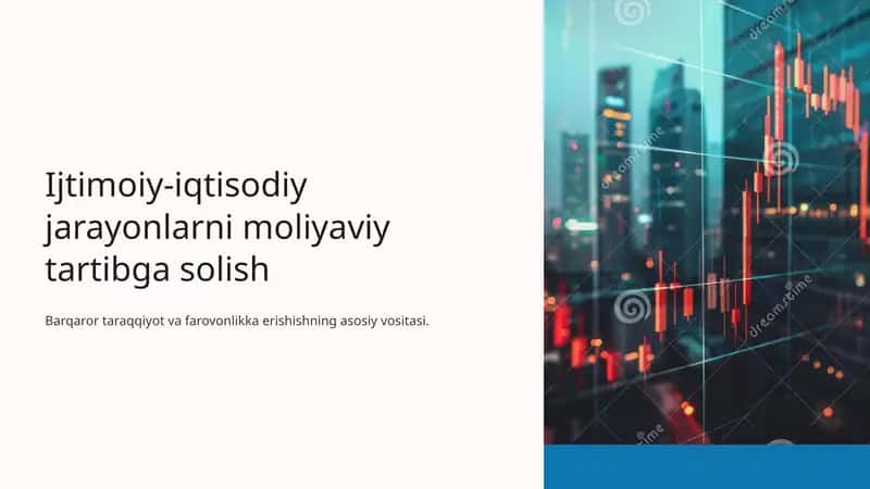 Ijtimoiy-iqtisodiy jarayonlarni moliyaviy tartibga solish