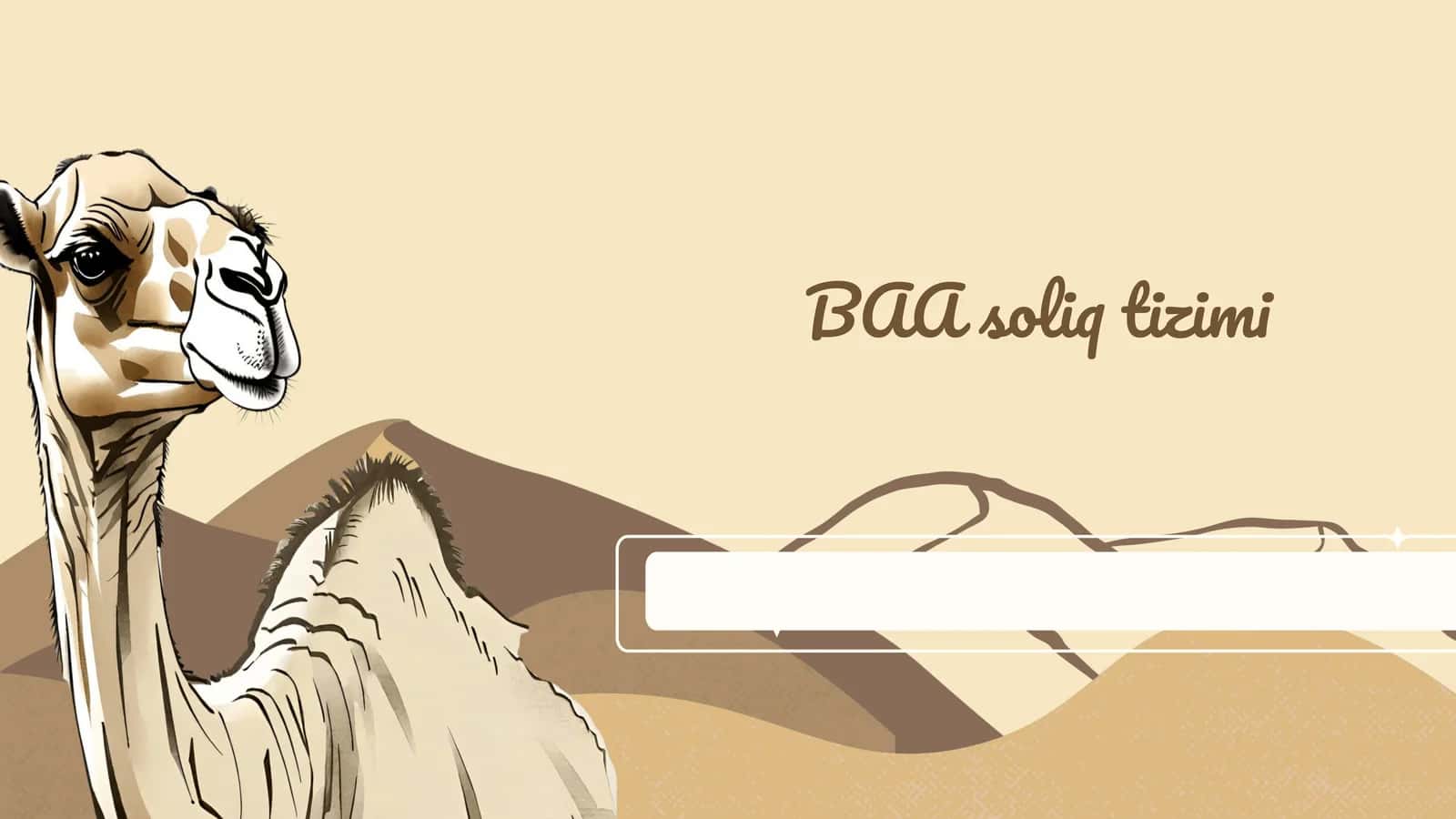 BAA soliq tizimi