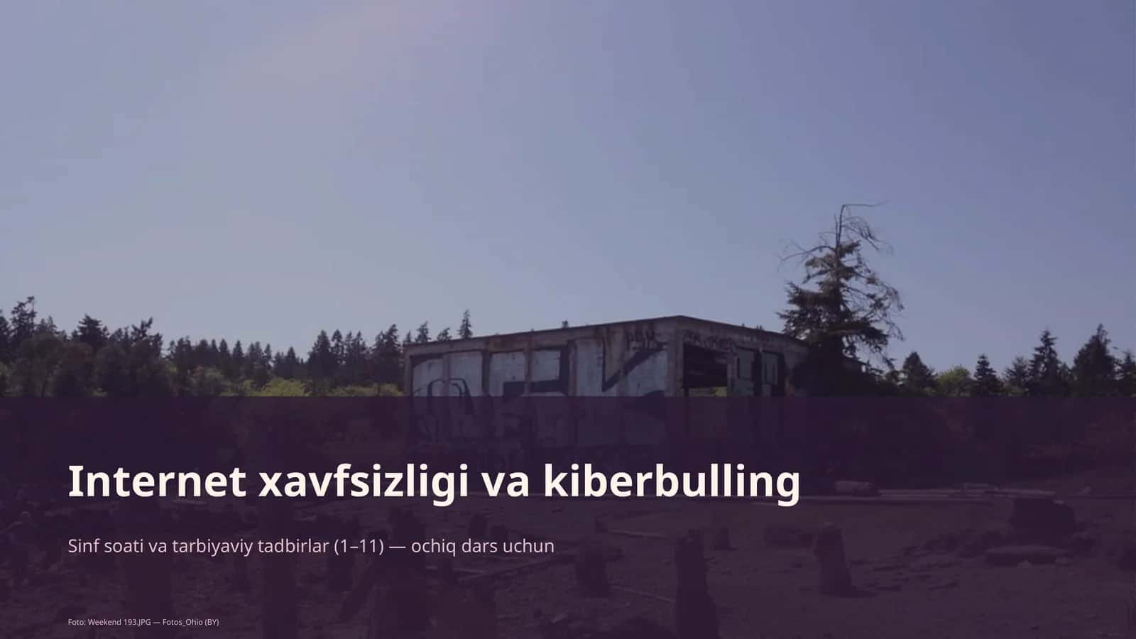 Internet xavfsizligi va kiberbulling