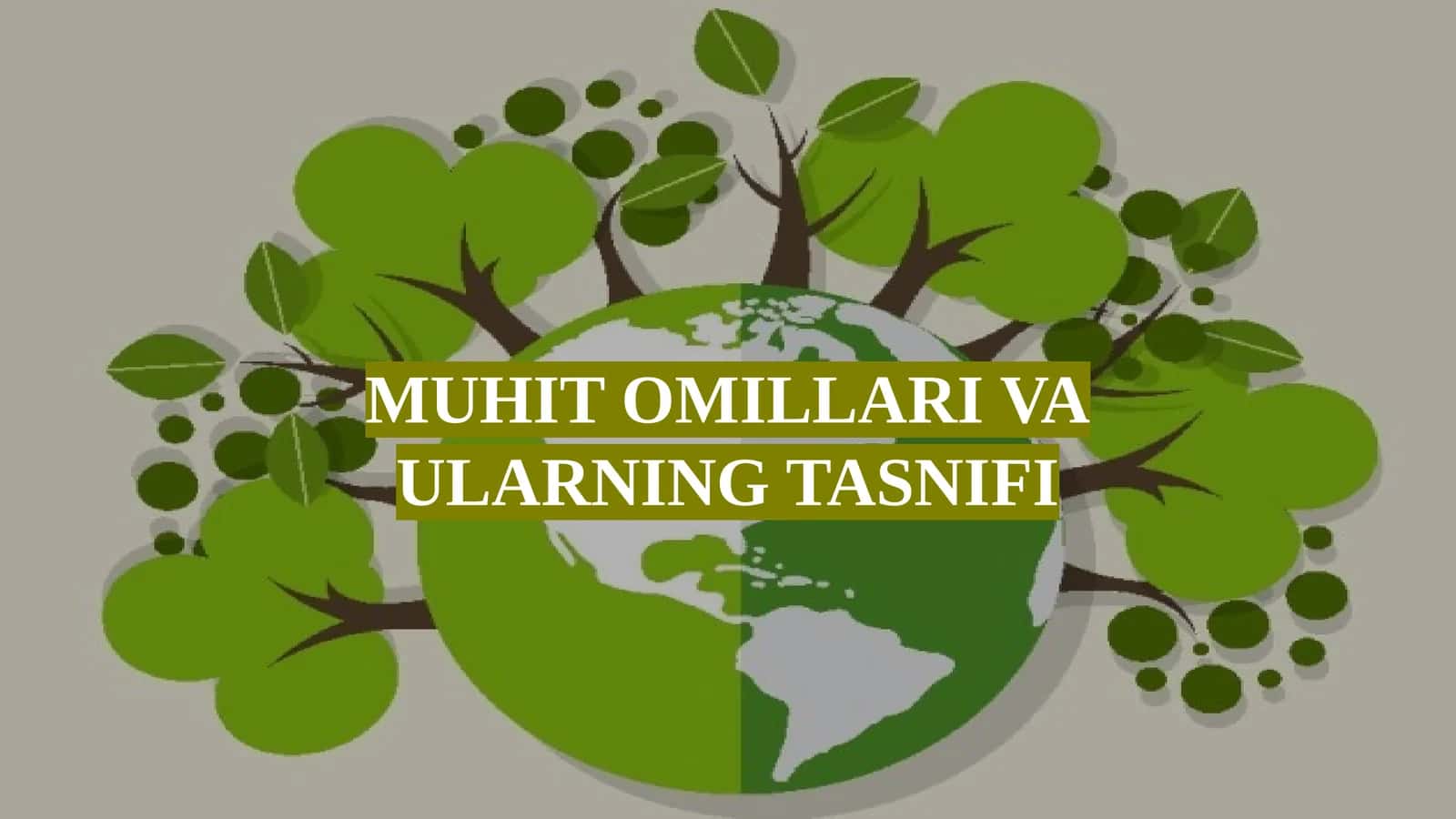 MUHIT OMILLARI VA ULARNING TASNIFI