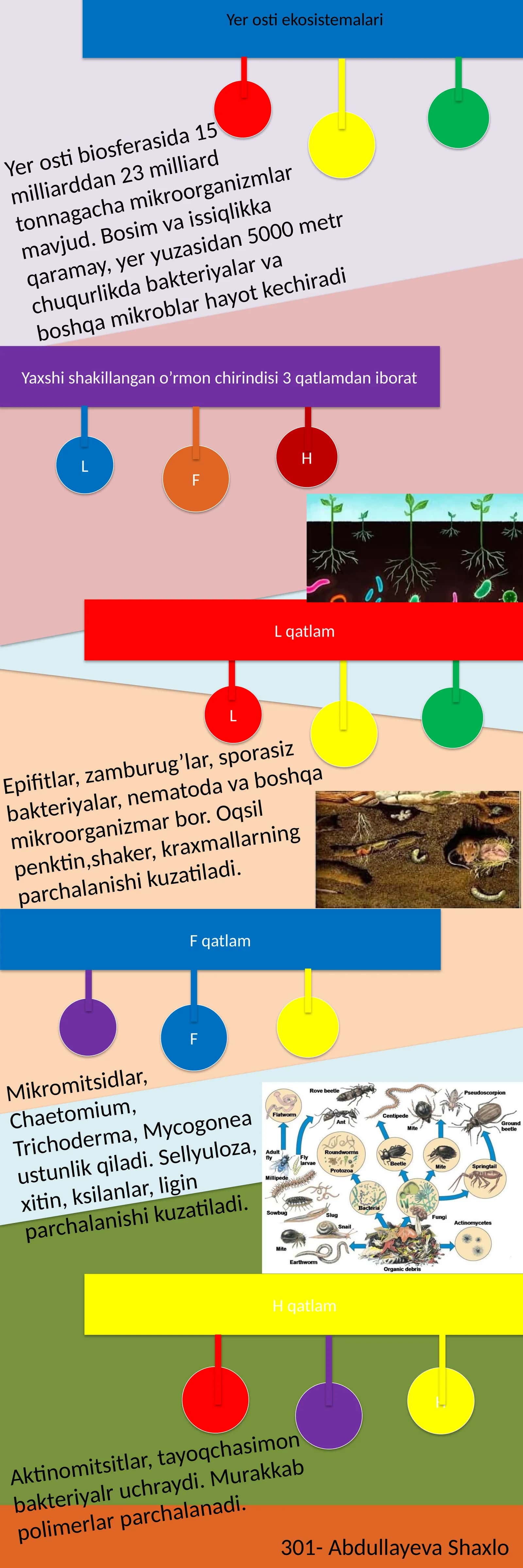 Yer osti ekosistemalari
