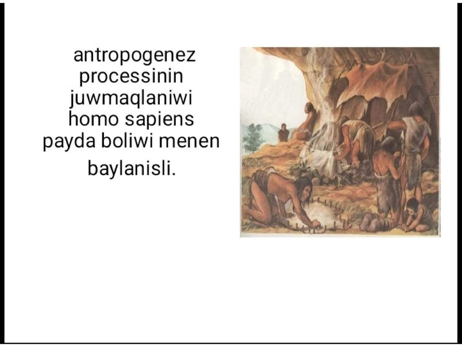 Homo sapiens sapiens evolyutsiyasi