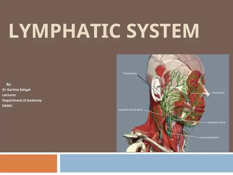LYMPHATIC SYSTEM