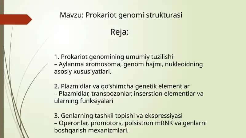 Prokariot genomi strukturasi