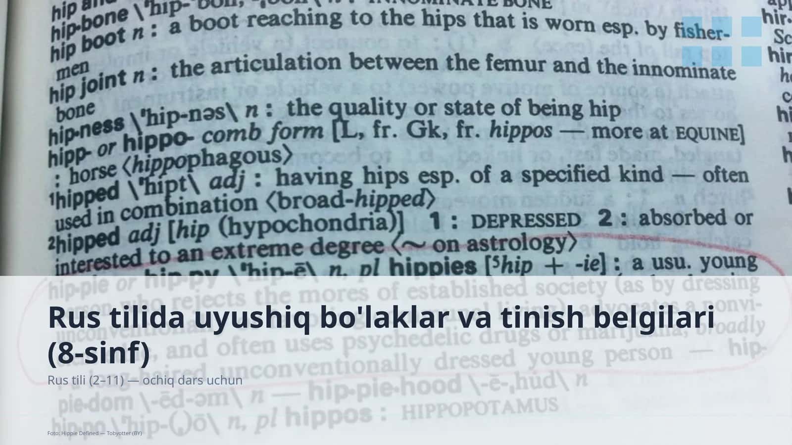 Rus tilida uyushiq bo'laklar va tinish belgilari (8-sinf)