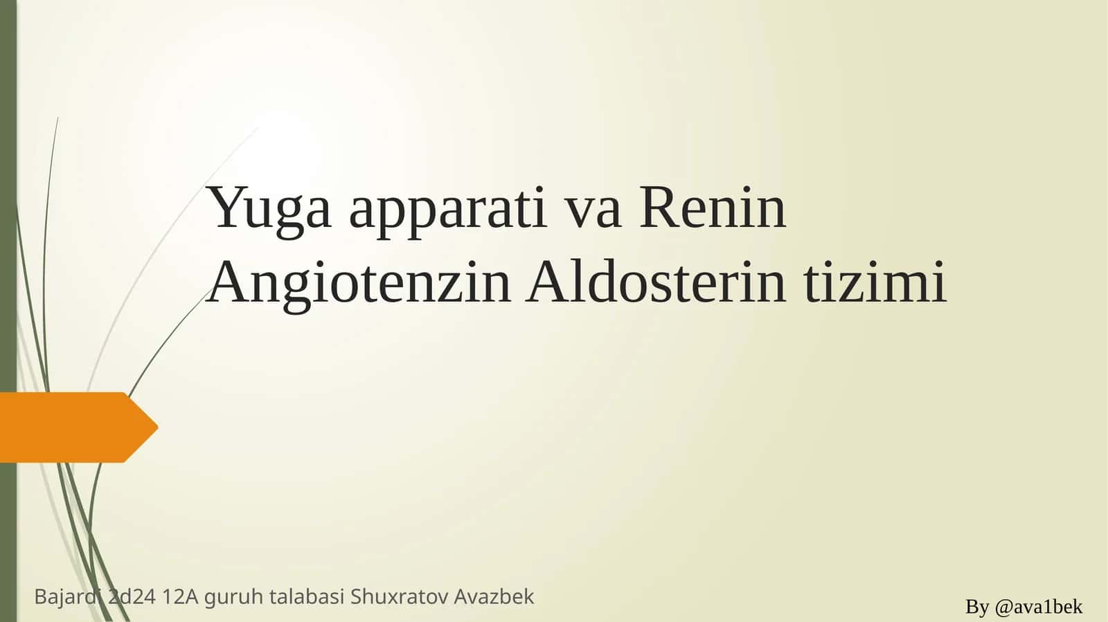 Yuga apparati renin angiotenzin aldosteron tizimi