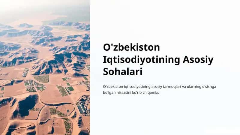 O'zbekiston Iqtisodiyotining Asosiy Sohalari