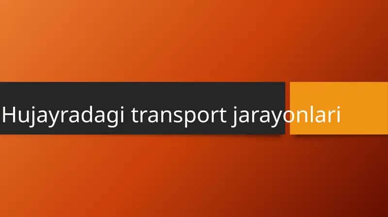 Hujayradagi transport jarayonlari