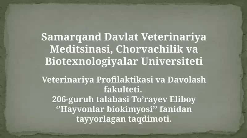 Nafas olish zanjiri. Makroenergitik birikmalarni sentezi