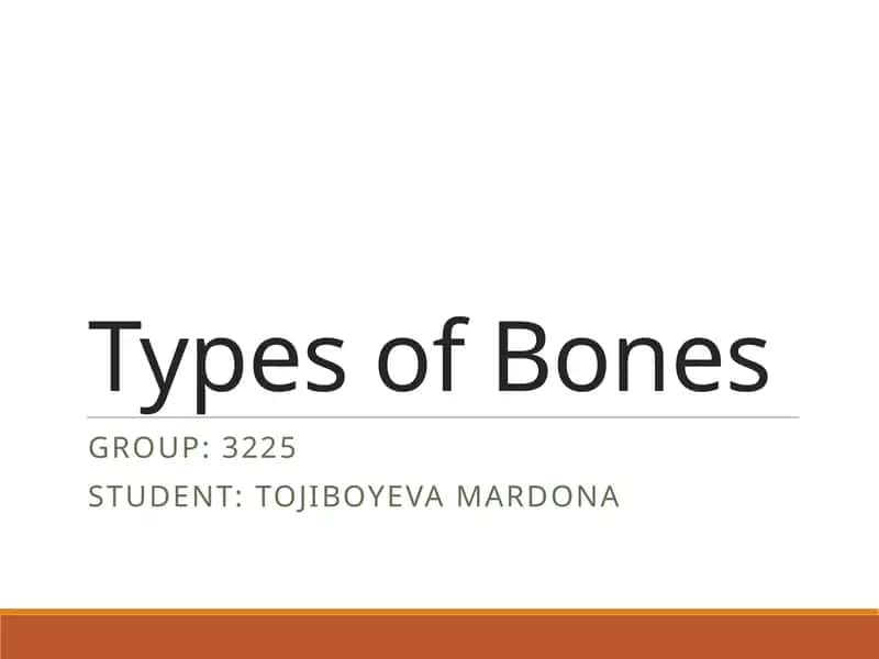 Types of Bones