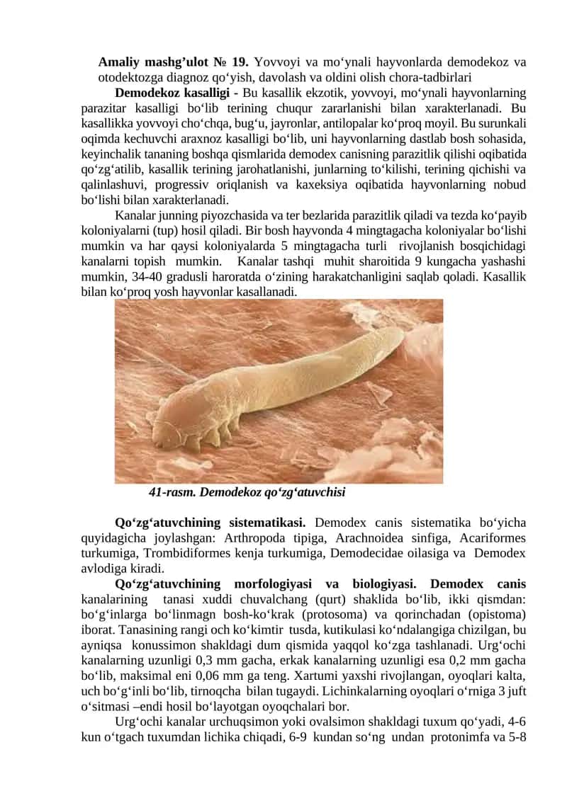 Amaliy mashg’ulot № 19. Yovvoyi va mo‘ynali hayvonlarda demodekoz va otodektozga diagnoz qo‘yish, davolash va oldini olish chora-tadbirlari