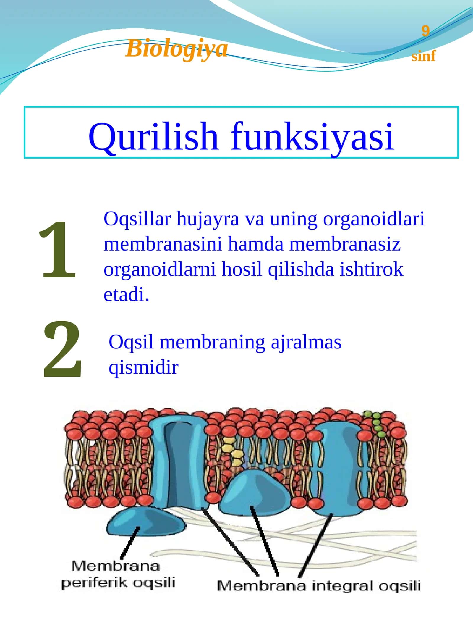 Qurilish funksiyasi