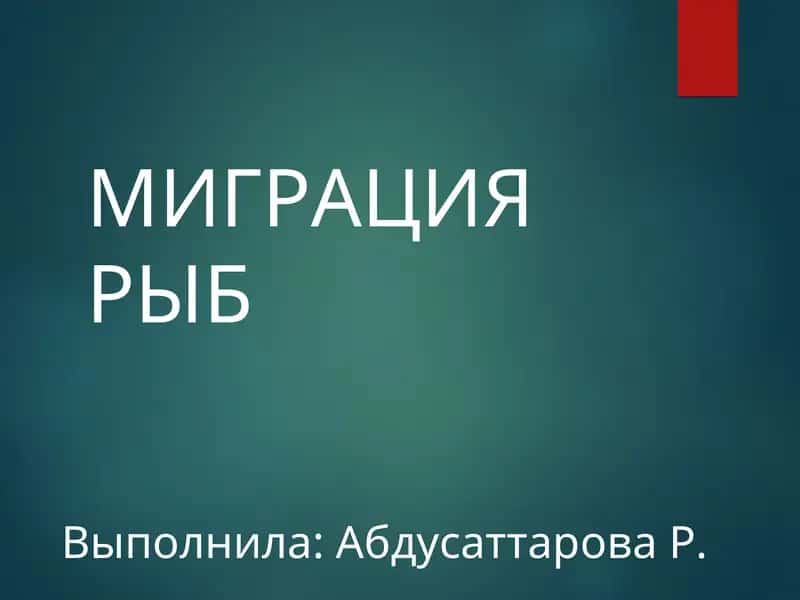 МИГРАЦИЯ РЫБ