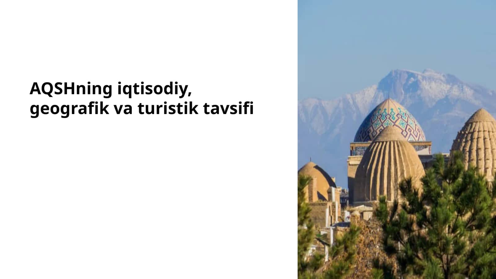 AQSHning iqtisodiy, geografik va turistik tavsifi